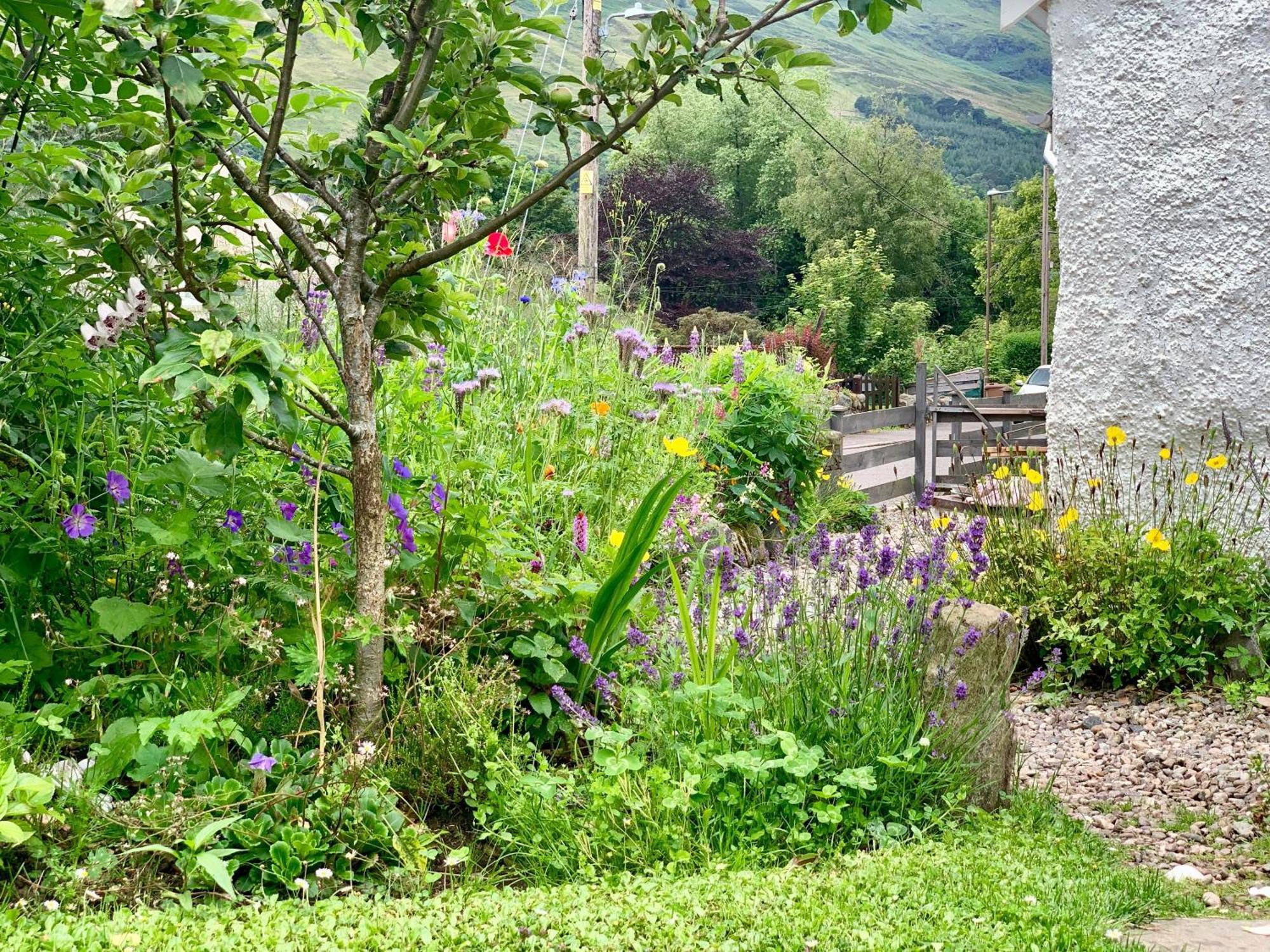 Place Of Architectural Interest The Croft Bed & Breakfast Lochearnhead